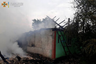 Масштабну пожежу в Новоград-Волинському районі гасили два відділення вогнеборців та селяни