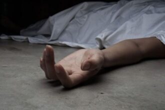 18-річну дівчину на Бердичівщині знайшли вбитою біля свого села