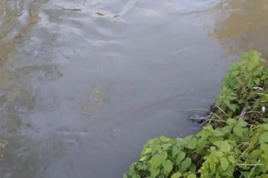 Через аварію на каналізаційно-насосній станції Житомира нечистоти забруднили річку Кам’янку