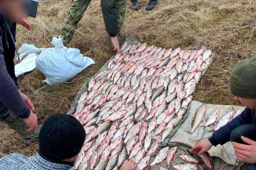 Сьогодні зранку браконьєри у Кам’янець-Подільському районі наловили риби на 343 тисячі гривень