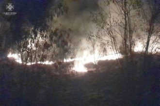 Пожежа у Бердичівському районі охопила близько двох гектарів