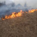Масштабна пожежа у Тульчинському районі охопила 2,5 га