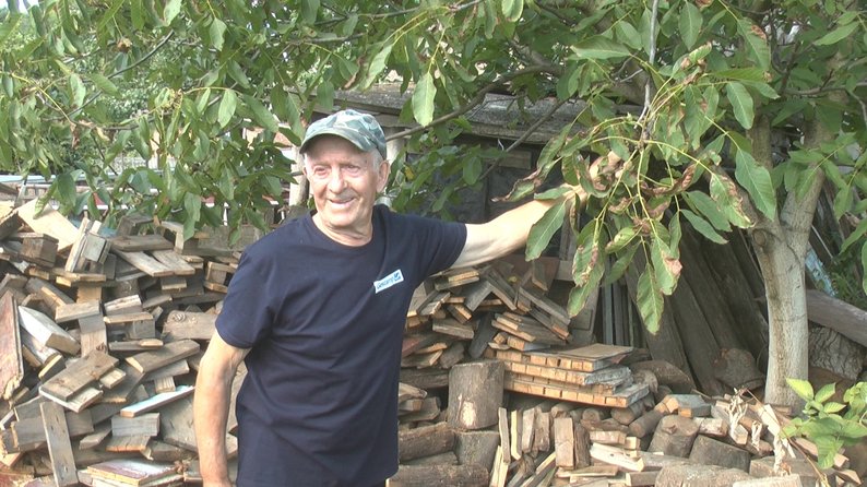 На Волочищині родина пенсіонерів вирощує гектари горіхів