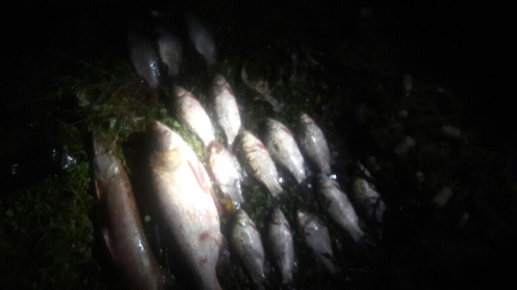 У Жмеринському районі браконьєри сітками ловили рибу та раків