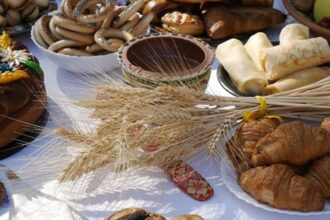 Олександрійські студенти відзначили 105-річчя Сухомлинського традиційним Днем хліба
