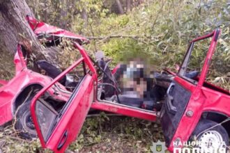 На Радомишльщині ВАЗ врізався в дерево: водій загинув. ФОТО
