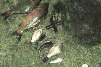 У Погребищі "на гарячому" спіймали браконьєра - ловив рибу "хваткою"