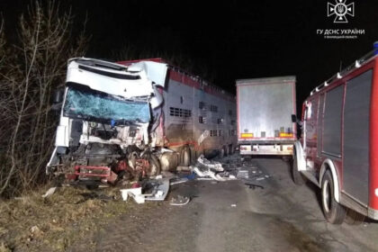 На Козятинщині «лоб в лоб» на швидкості зіткнулися дві вантажівки: є загиблий
