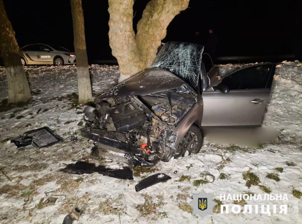 На Прилуччині авто врізалось в дерево: водійка загинула на місці